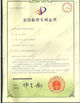 Porcellana Perfect Laser (Wuhan) Co.,Ltd. Certificazioni