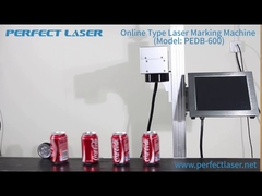Perfetta macchina di marcatura laser per bottiglie o linea di produzione PEDB-600